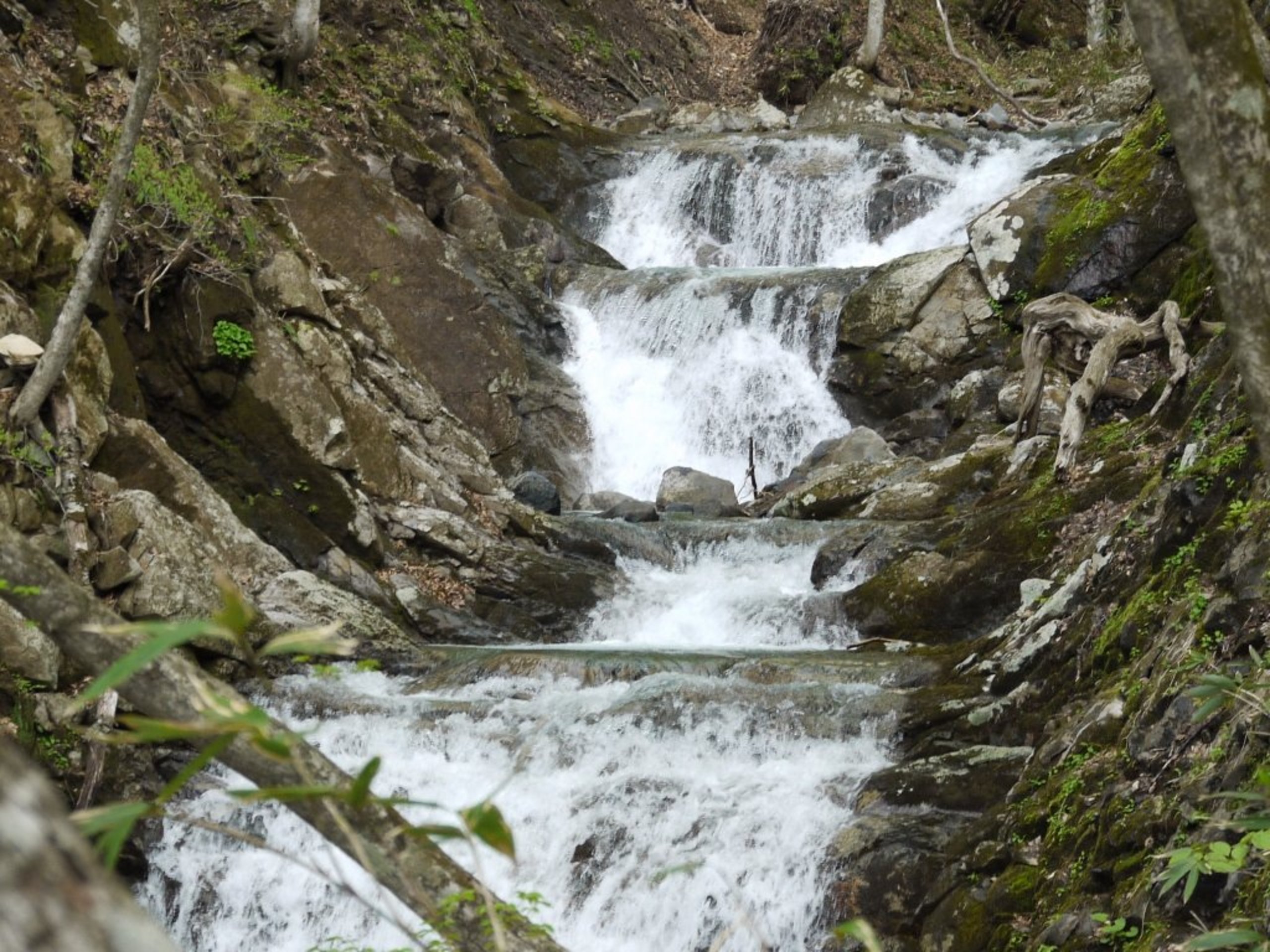 🏞️ 아다타라 계곡 오쿠다케 자연 산책로 (아다타라 케이코쿠 오쿠다케 시젠 유호도) 이미지 6